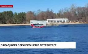 В Санкт-Петербурге прошел парад кораблей