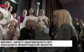 Мюзикл «Ничего невозможного нет» показали в Ленинградской области