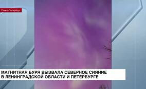 Магнитная буря вызвала Северное сияние в Ленобласти и Петербурге