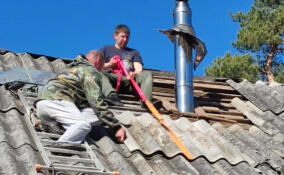 Ветерану пожарной охраны в Ленобласти помогли отремонтировать крышу