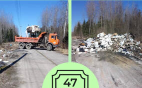 С нелегальной свалки в Сусанино вывезли 40 кубометров мусора