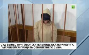Суд вынес приговор жительнице Екатеринбурга, пытавшейся продать семилетнего сына