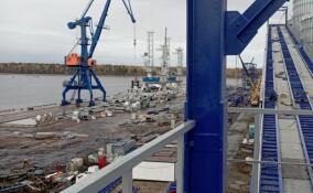 Следком проверяет обстоятельства гибели рабочего в порту «Высоцкий» в Ленобласти