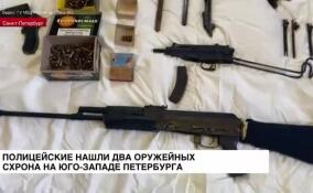 Полицейские нашли два оружейных схрона на юго-западе Петербурга