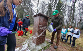К 9 Мая в Ленобласти приведут в порядок 44 мемориала и воинских захоронения