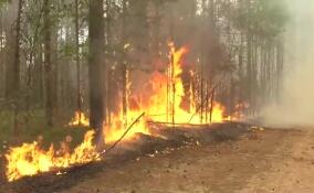 Пожароопасный сезон начался в Ленинградской области