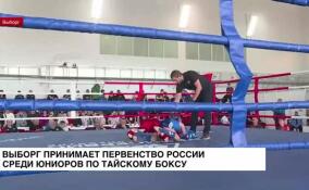 Юниорское первенство России по тайскому боксу проходит в Выборге