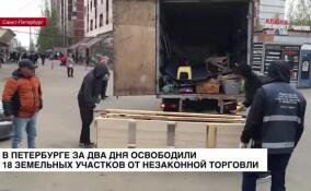 В Петербурга за два дня освободили 18 земельных участков от незаконной торговли