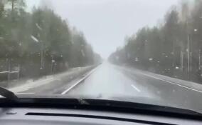 Снег выпал в Подпорожском районе Ленобласти перед майскими праздниками
