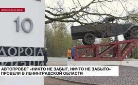 Автопробег «Никто не забыт, ничто не забыто» провели в Ленинградской области