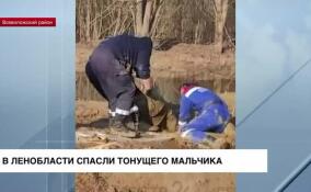 В Ленинградской области спасли тонущего мальчика