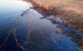 В реке Нева в районе посёлка Павлово обнаружили разлив нефтепродуктов