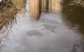 Росприроднадзор Ленобласти установил источник поступления нефтепродуктов в реку Охта в Мурино