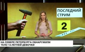 В Петербурге 16-летнего блогера задержали за жестокое убийство 13-летней девочки