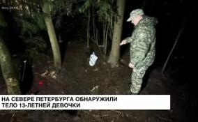 Тело семиклассницы нашли в лесу в Парголово