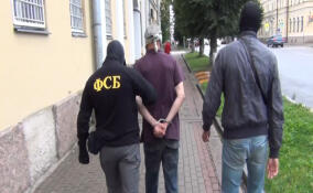 Жителя Выборга приговорили к 11 годам тюрьмы за содействие террористической деятельности