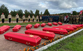 В Ленобласти перезахоронят останки 3 тысяч участников Великой Отечественной войны