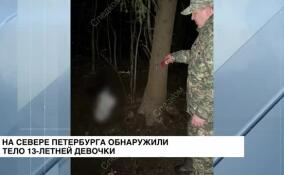 На севере Петербурга обнаружили тело 13-летней девочки