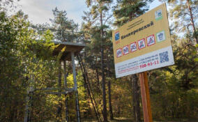 Во Всеволожском районе Ленобласти обновили экологический маршрут «Ладожские берега»