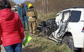 Внедорожник вылетел на встречку и врезался в автокран на Ропшинском шоссе в Ленобласти