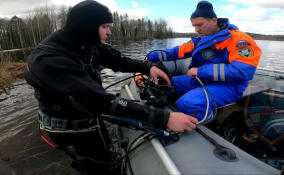 Спасатели Ленобласти подняли со дна Печенского озера тело утонувшего мужчины