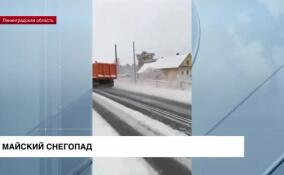 Сюрпризы погоды: дорожники Ленобласти вышли на уборку весеннего снега