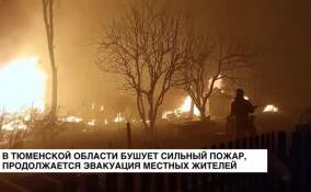 В селе Успенка Тюменской области верховой лесной пожар перекинулся на жилые дома