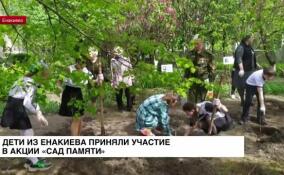 В Енакиево прошла акция «Сад памяти»