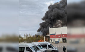 После пожара на промзоне в Ломоносовском районе превышения концентрации загрязняющих веществ не выявлено