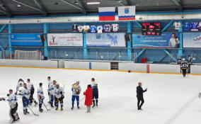 Хоккейная команда Колтуши победила в финале Кубка Ленобласти по хоккею среди мужских команд