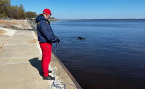 На пляже в Кронштадте водолазы очищают дно Финского залива от опасных предметов