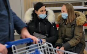 Коронавирусом в Ленобласти заразились 11 жителей