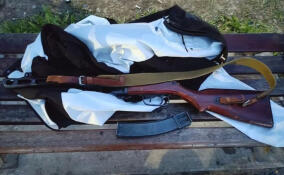 В поселке Романовка рецидивист украл с праздничной выставки пистолет-пулемет