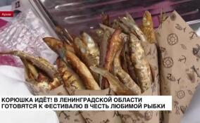 Корюшка идет! В Ленинградской области готовятся к фестивалю любимой рыбки