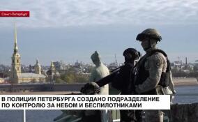 В полиции Петербурга создано специальное подразделение, которое контролирует небо и беспилотники