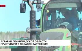 В Ленинградской области приступили к посадке картофеля