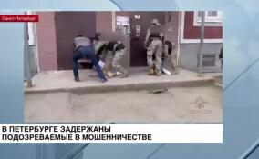 В Петербурге задержаны подозреваемые в мошенничестве