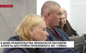 В Доме Правительства Ленобласти обсудили аспекты достройки проблемного ЖК «Гамма»