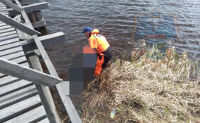 В реке Вуокса в Ленобласти обнаружили труп неизвестного мужчины
