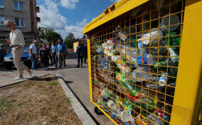 В Ленобласти мусорные контейнеры могут установить у пляжей, берегов водоемов и экотроп