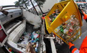 В Ленобласти на 251 контейнерной площадке разместят баки для раздельного сбора мусора