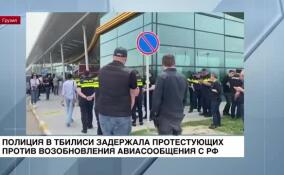 Полиция в Тбилиси задержала протестующих против возобновления авиасообщения с РФ