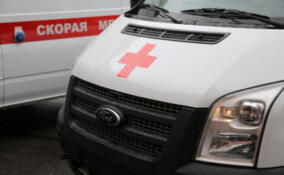 Пожилая петербурженка попала в больницу после того, как на нее наехал рейсовый автобус