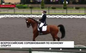 Во Всеволожском районе проходят Всероссийские соревнования по конному спорту