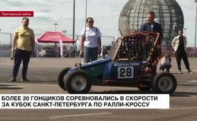 Более 20 гонщиков соревновались в скорости за Кубок Санкт-Петербурга по ралли-кроссу