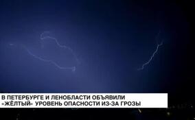 В Петербурге и Ленобласти объявили «желтый» уровень опасности из-за грозы