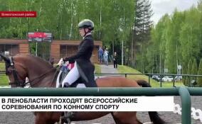 В Ленобласти проходят Всероссийские соревнования по конному спорту
