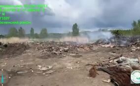 В Тосно предотвратили пожар на нелегальной свалке
