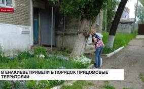 В Енакиево привели в санитарный порядок придомовые территории
