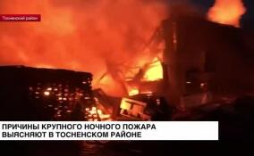 В поселке Тельмана Тосненского района выясняют причины крупного пожара
